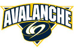 North Jersey Avalanche logo